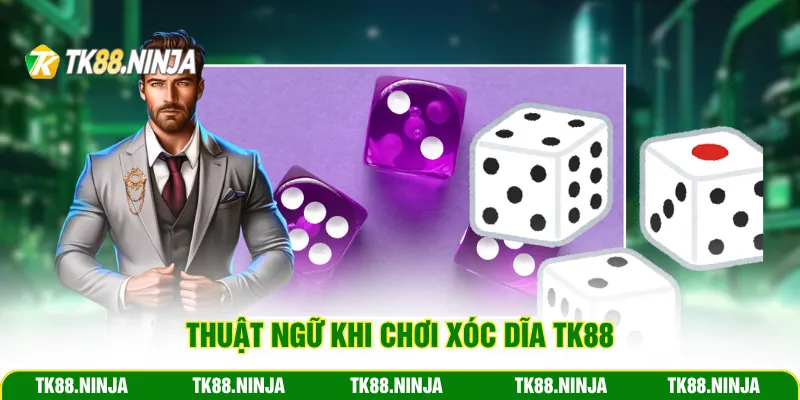 Thuật ngữ khi chơi xóc dĩa Tk88